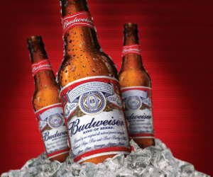 bia budweiser