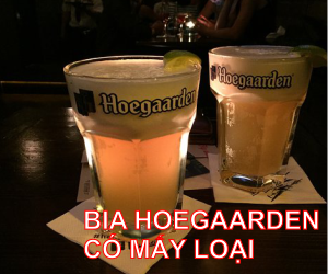 2 LOẠI BIA HOEGAARDEN