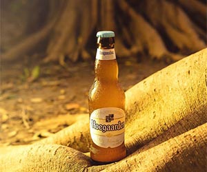 bia hoegaarden white