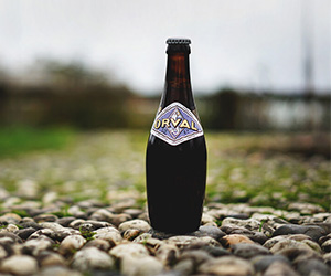 Bia Orval