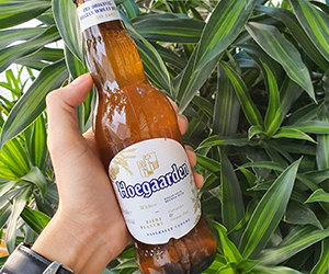 Bia Hoegaarden White