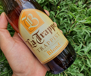 Bia La Trappe Blond